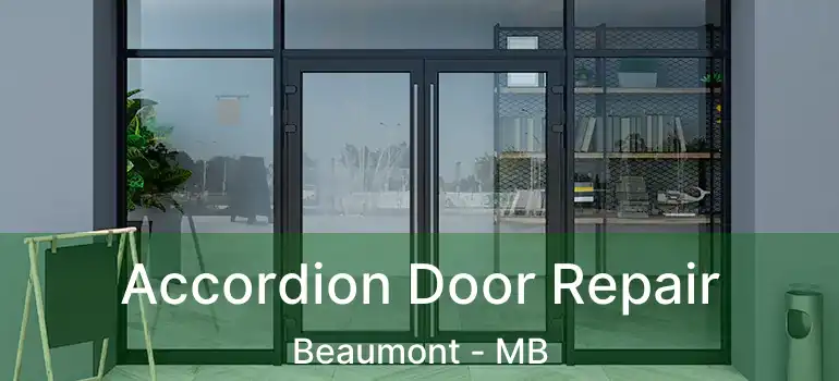  Accordion Door Repair Beaumont - MB