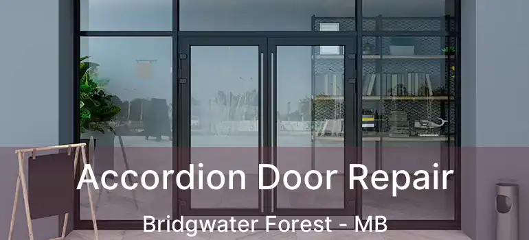  Accordion Door Repair Bridgwater Forest - MB