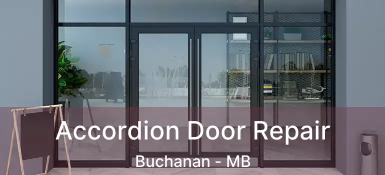  Accordion Door Repair Buchanan - MB