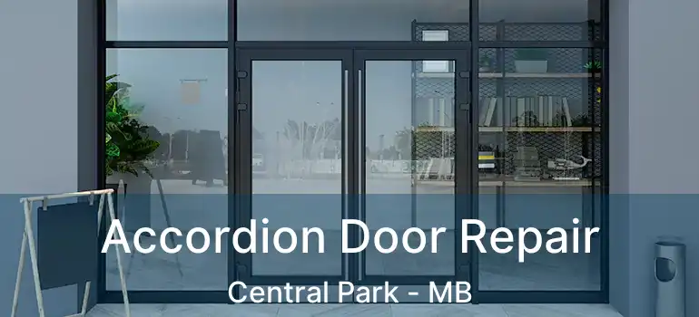  Accordion Door Repair Central Park - MB