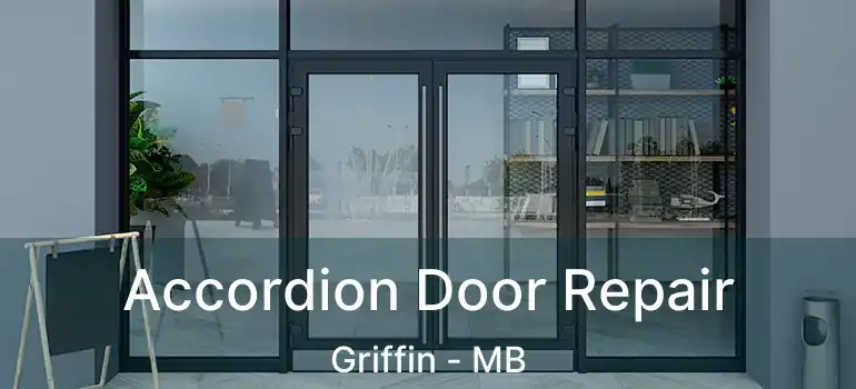  Accordion Door Repair Griffin - MB