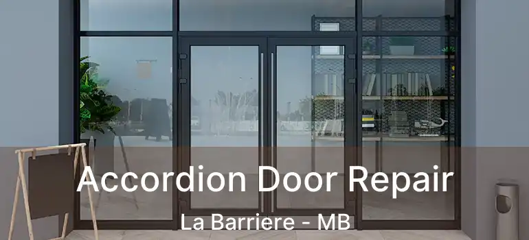  Accordion Door Repair La Barriere - MB