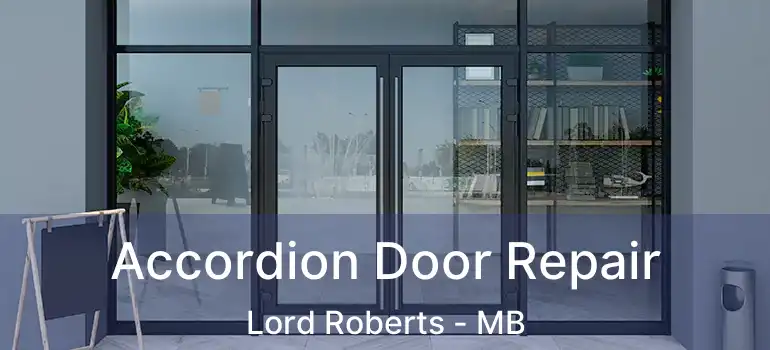  Accordion Door Repair Lord Roberts - MB