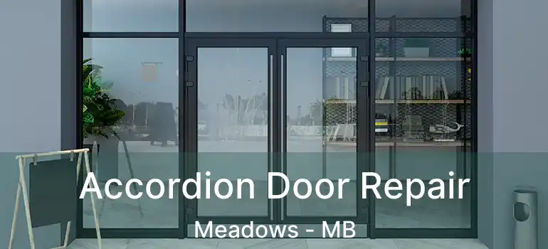  Accordion Door Repair Meadows - MB