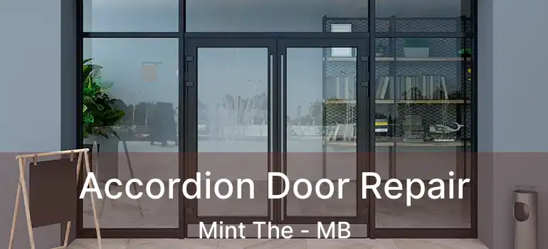  Accordion Door Repair Mint The - MB