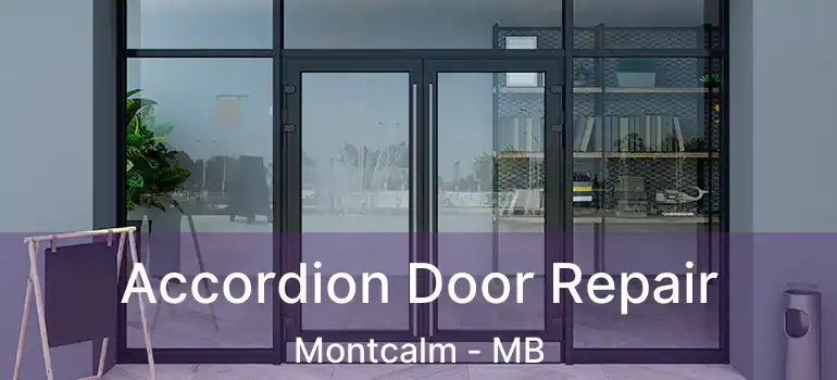  Accordion Door Repair Montcalm - MB