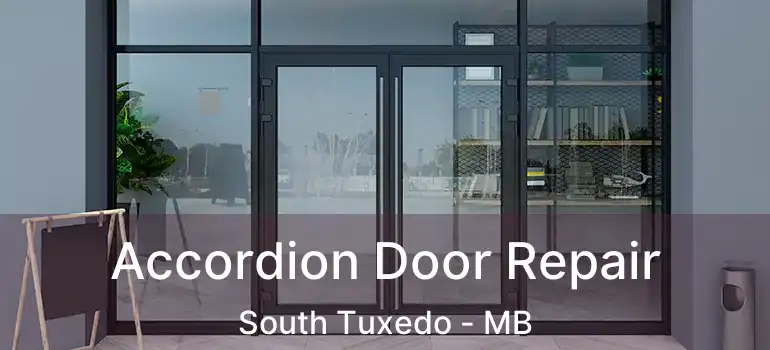  Accordion Door Repair South Tuxedo - MB