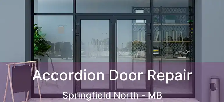  Accordion Door Repair Springfield North - MB
