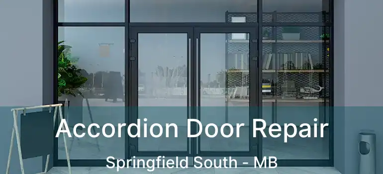  Accordion Door Repair Springfield South - MB