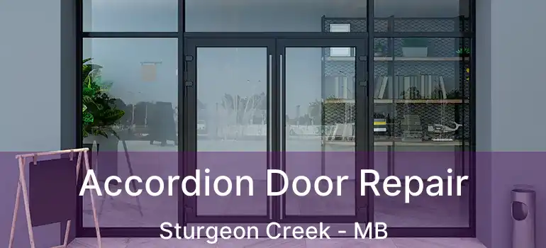  Accordion Door Repair Sturgeon Creek - MB