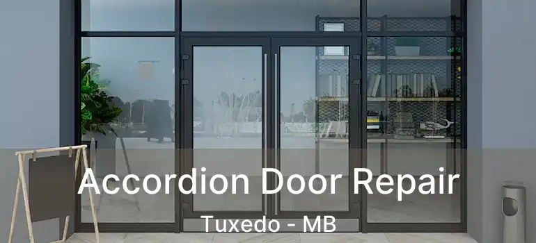  Accordion Door Repair Tuxedo - MB
