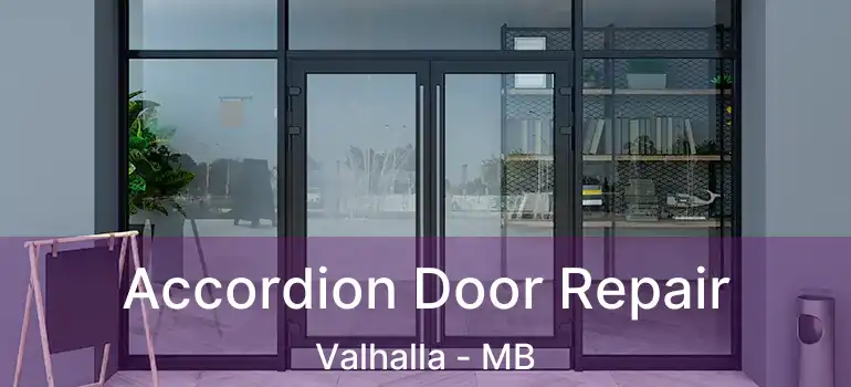  Accordion Door Repair Valhalla - MB