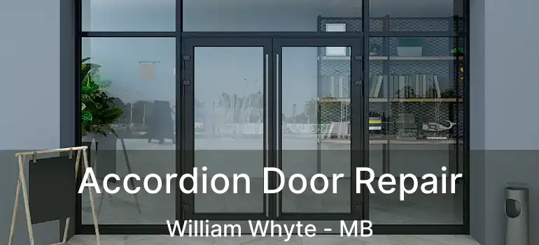  Accordion Door Repair William Whyte - MB
