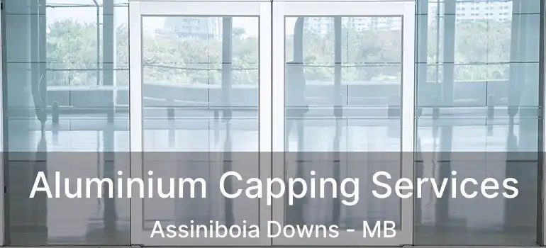  Aluminium Capping Services Assiniboia Downs - MB