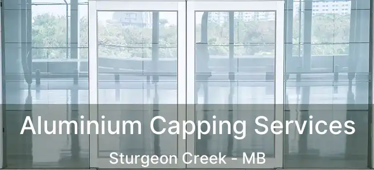  Aluminium Capping Services Sturgeon Creek - MB