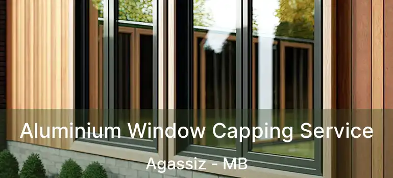 Aluminium Window Capping Service Agassiz - MB