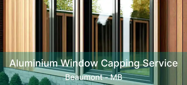  Aluminium Window Capping Service Beaumont - MB