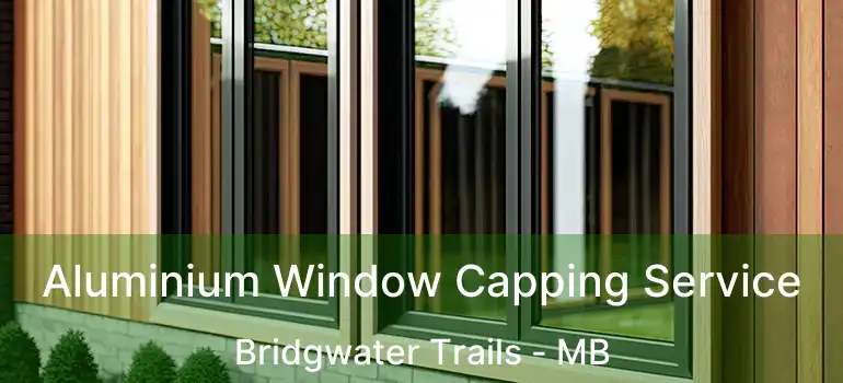  Aluminium Window Capping Service Bridgwater Trails - MB