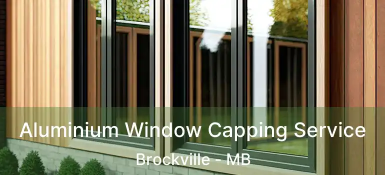  Aluminium Window Capping Service Brockville - MB