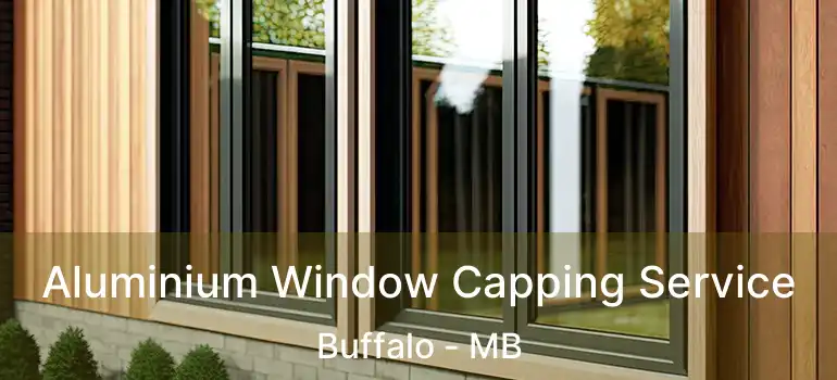  Aluminium Window Capping Service Buffalo - MB