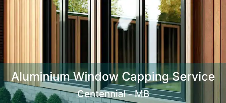  Aluminium Window Capping Service Centennial - MB