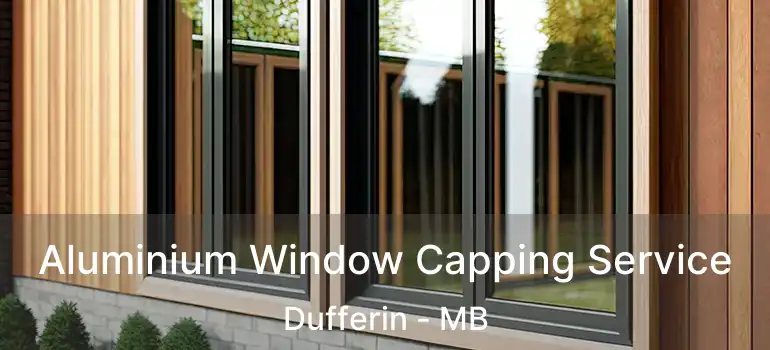  Aluminium Window Capping Service Dufferin - MB