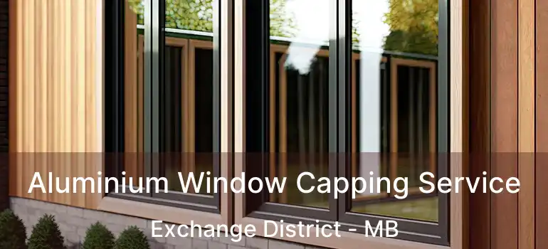  Aluminium Window Capping Service Exchange District - MB