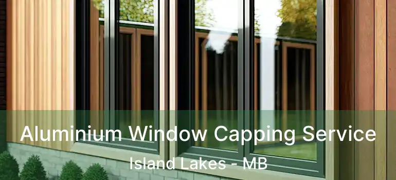  Aluminium Window Capping Service Island Lakes - MB