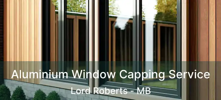  Aluminium Window Capping Service Lord Roberts - MB