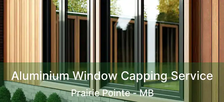 Aluminium Window Capping Service Prairie Pointe - MB
