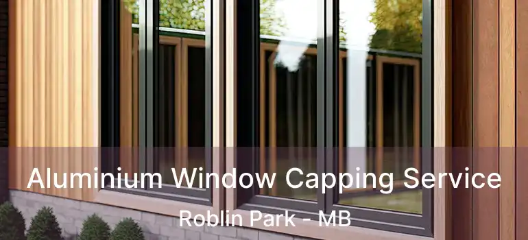  Aluminium Window Capping Service Roblin Park - MB