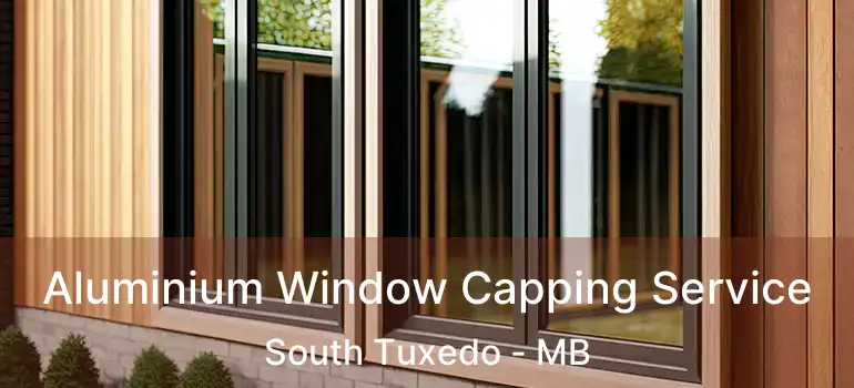  Aluminium Window Capping Service South Tuxedo - MB