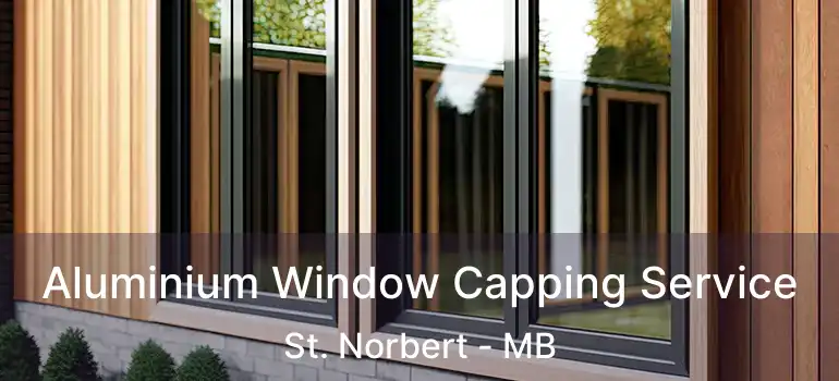 Aluminium Window Capping Service St. Norbert - MB