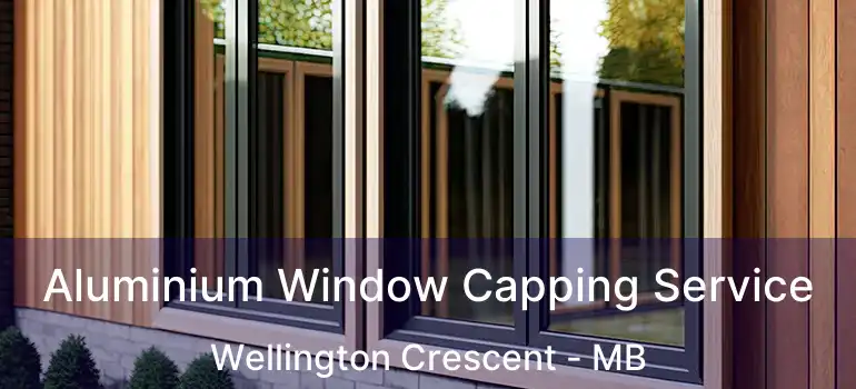 Aluminium Window Capping Service Wellington Crescent - MB