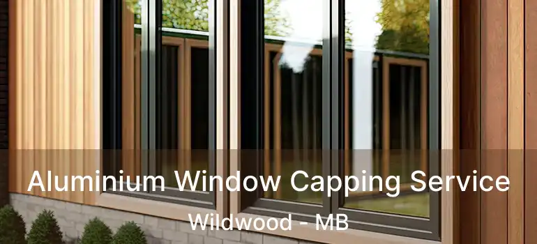  Aluminium Window Capping Service Wildwood - MB