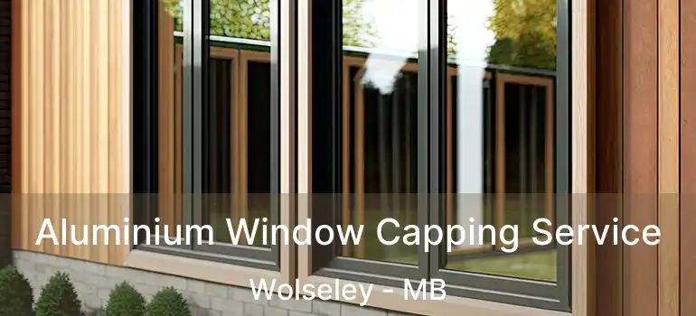  Aluminium Window Capping Service Wolseley - MB