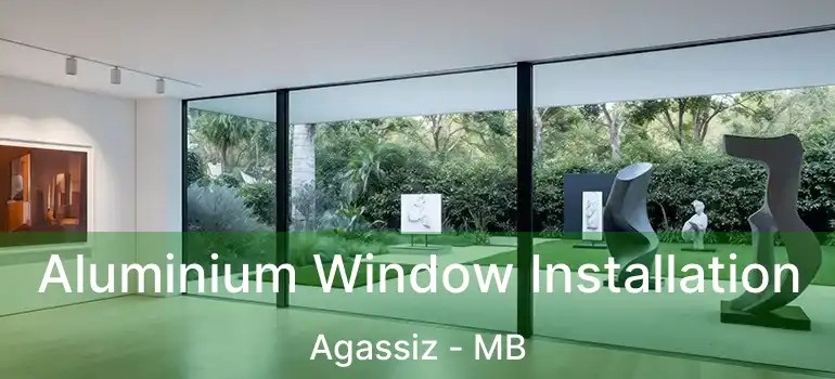  Aluminium Window Installation Agassiz - MB