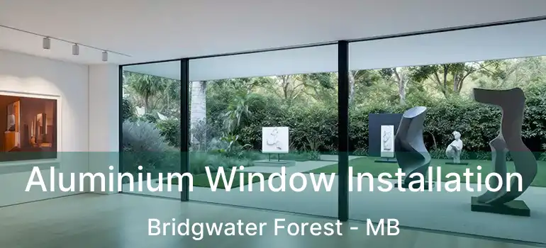  Aluminium Window Installation Bridgwater Forest - MB