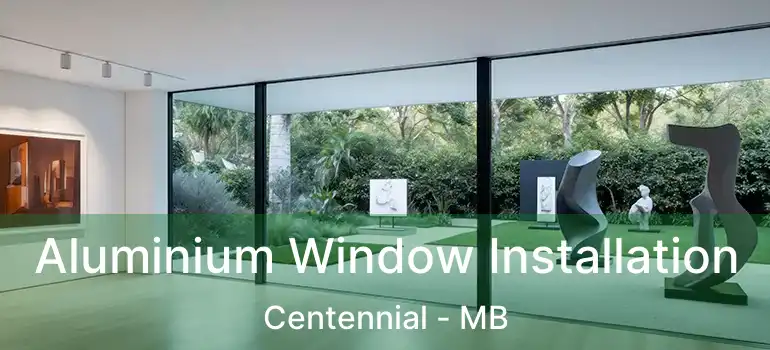 Aluminium Window Installation Centennial - MB