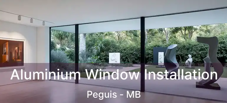  Aluminium Window Installation Peguis - MB