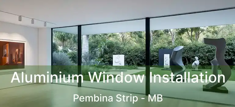  Aluminium Window Installation Pembina Strip - MB