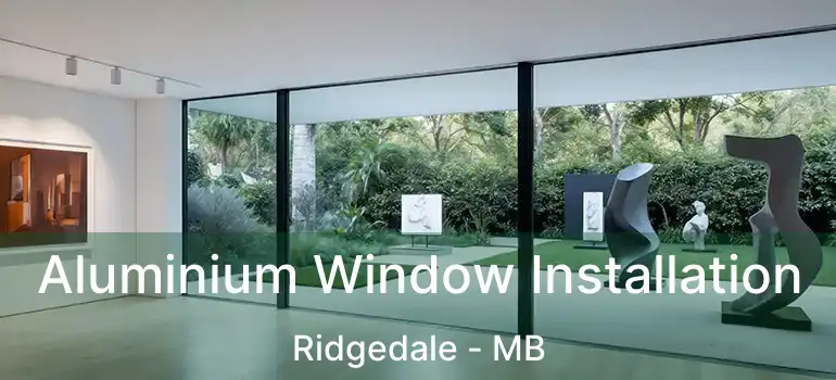  Aluminium Window Installation Ridgedale - MB