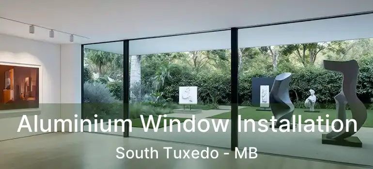  Aluminium Window Installation South Tuxedo - MB
