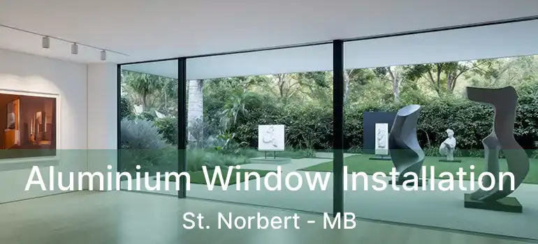  Aluminium Window Installation St. Norbert - MB