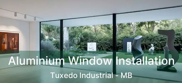  Aluminium Window Installation Tuxedo Industrial - MB