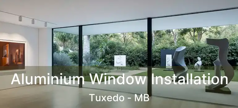  Aluminium Window Installation Tuxedo - MB