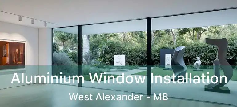  Aluminium Window Installation West Alexander - MB