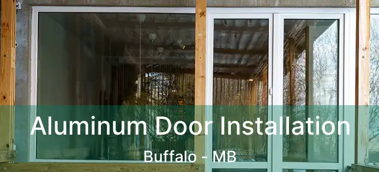  Aluminum Door Installation Buffalo - MB