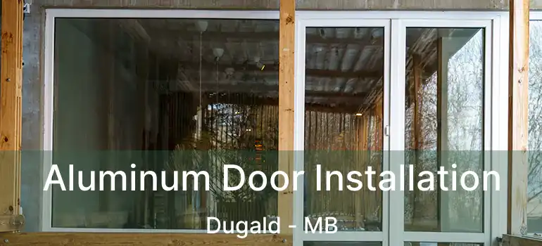  Aluminum Door Installation Dugald - MB