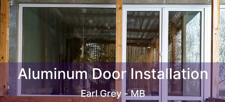  Aluminum Door Installation Earl Grey - MB
